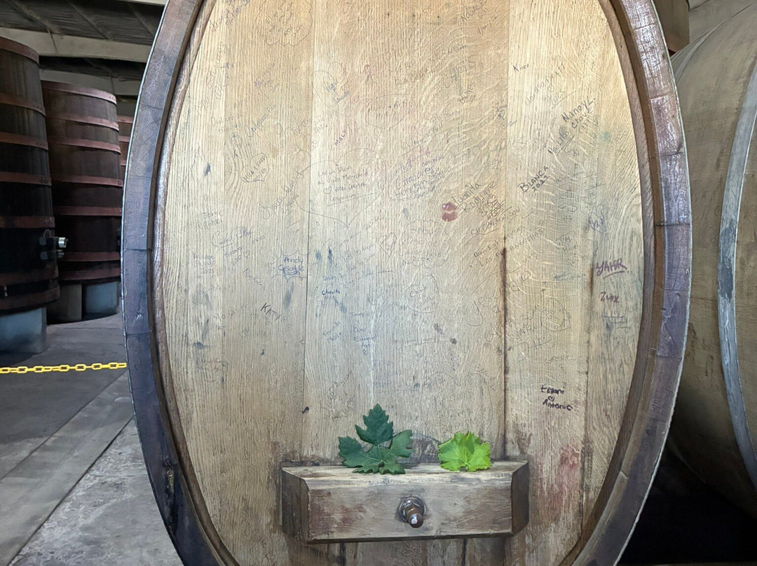 L.A. Cetto Boutique Valle de Guadalupe-Valle de Guadalupe必去景点
