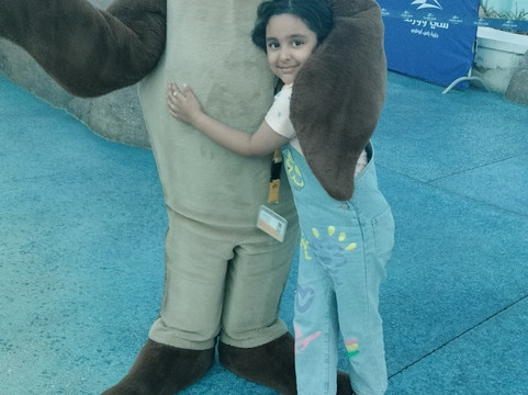 SeaWorld Yas Island Abu Dhabi-阿布扎比必去景点