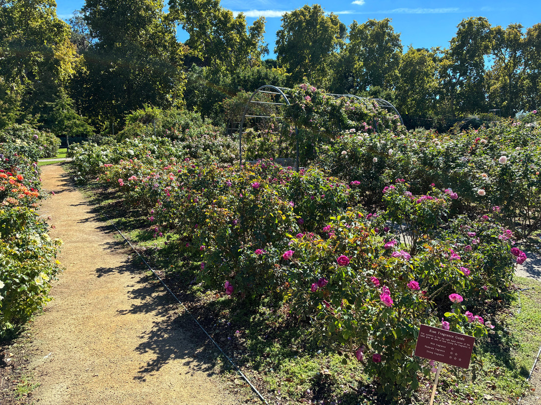 植物园-阿德莱德必去景点