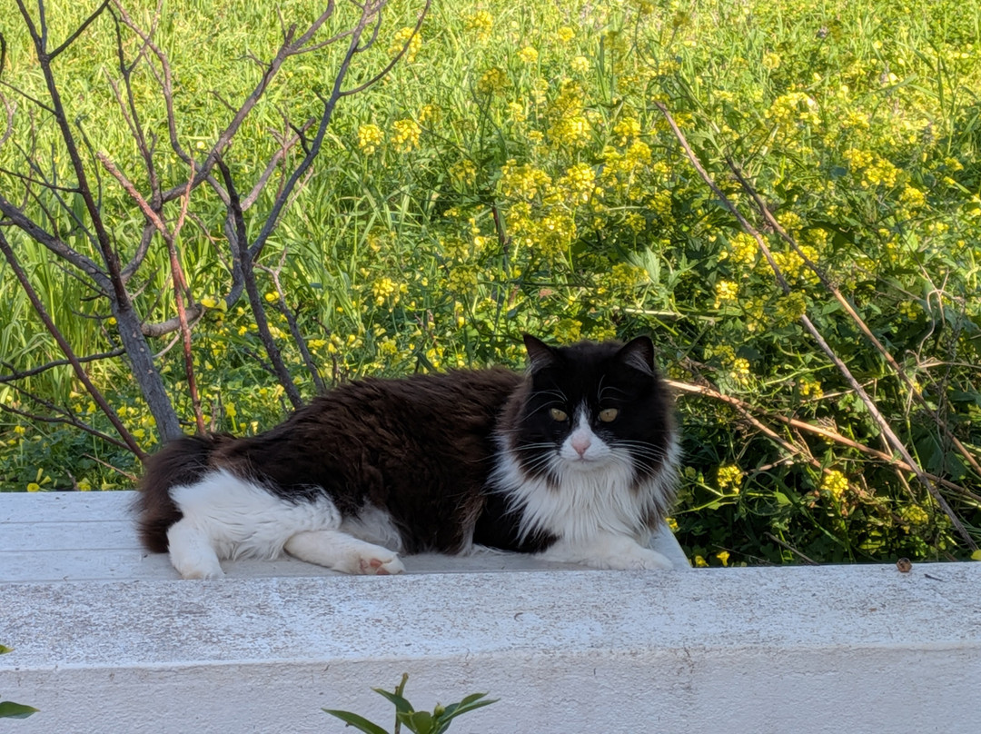 马赫山酒店主图