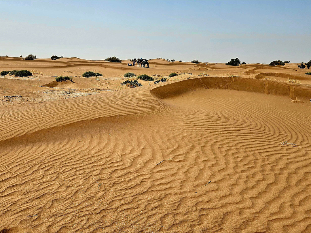 Wild Morocco-扎古拉必去景点