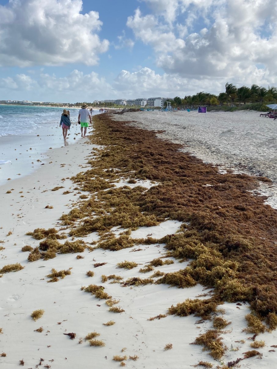 坎昆好莱坞星球度假村-由皇家顿管理-傲途格精选全包式度假酒店-泳池