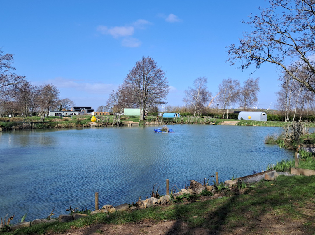Burton Springs Fishing and Holidays-布里奇沃特必去景点