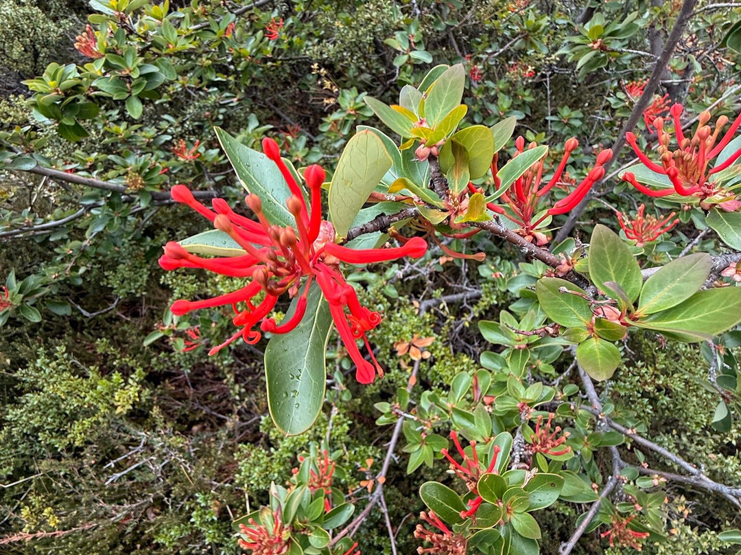 Patagonia Hero-纳塔莱斯港必去景点
