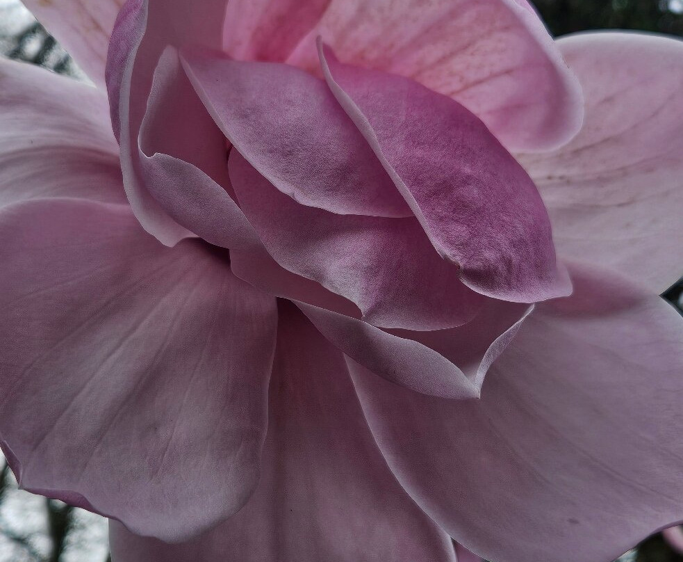 Branklyn Garden-珀斯必去景点