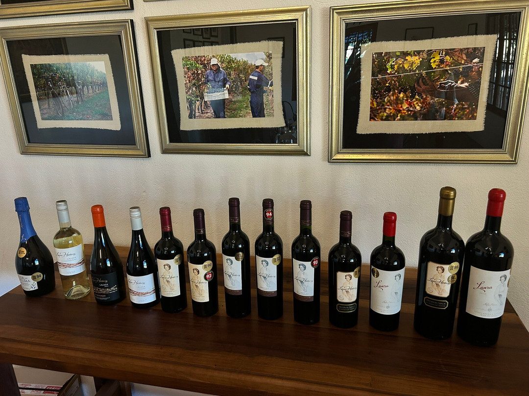 Laura Hartwig Winery-圣克鲁斯必去景点