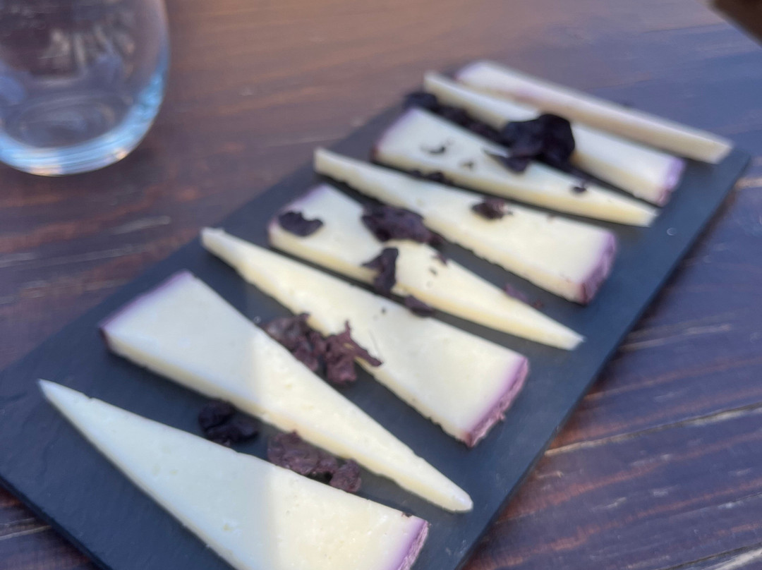 Masia Serra-Cantallops必去景点