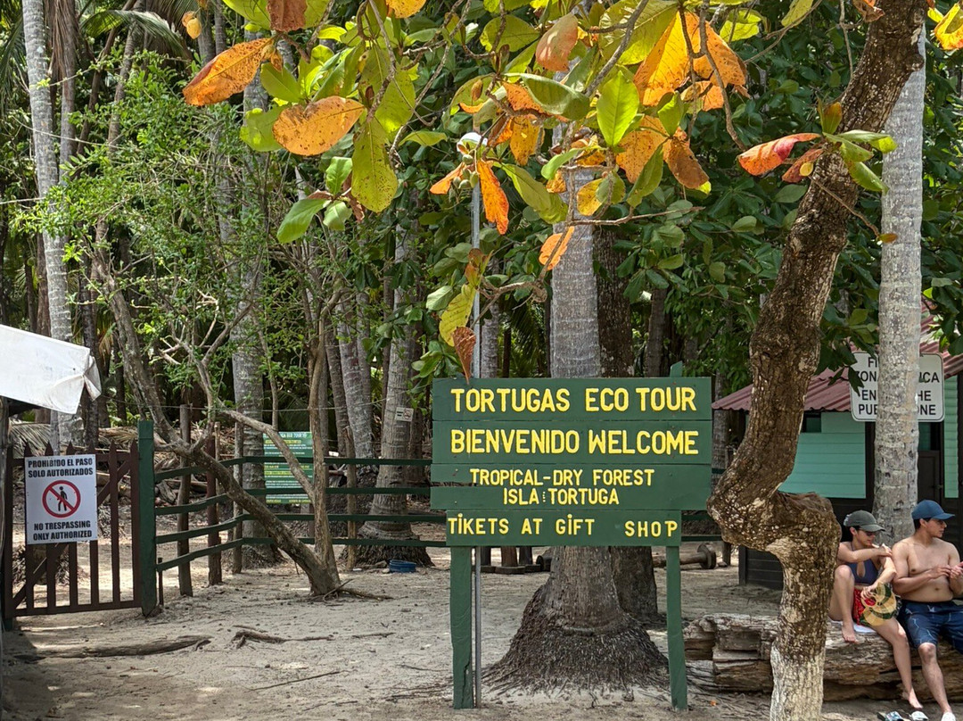 Tortuga Island-彭塔雷纳斯必去景点