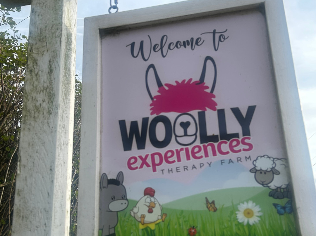 Woolly Experiences Therapy Farm-Mold必去景点