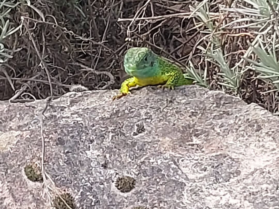 Le PAL-Saint-Pourcain-sur-Besbre必去景点