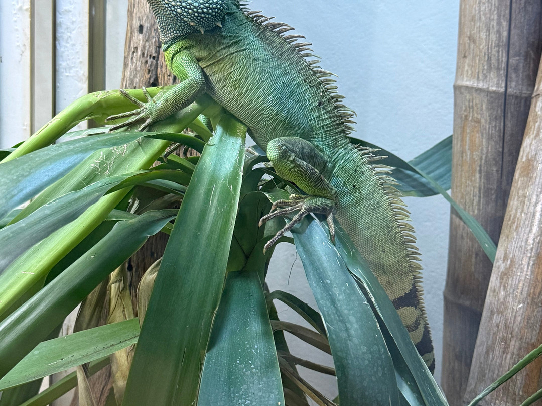 Mundo Park-Las Pajanosas必去景点