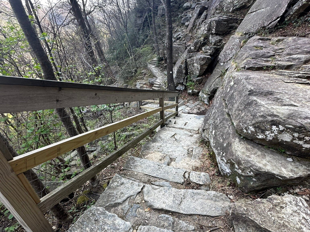 Hickory Nut Falls Trail-Chimney Rock必去景点