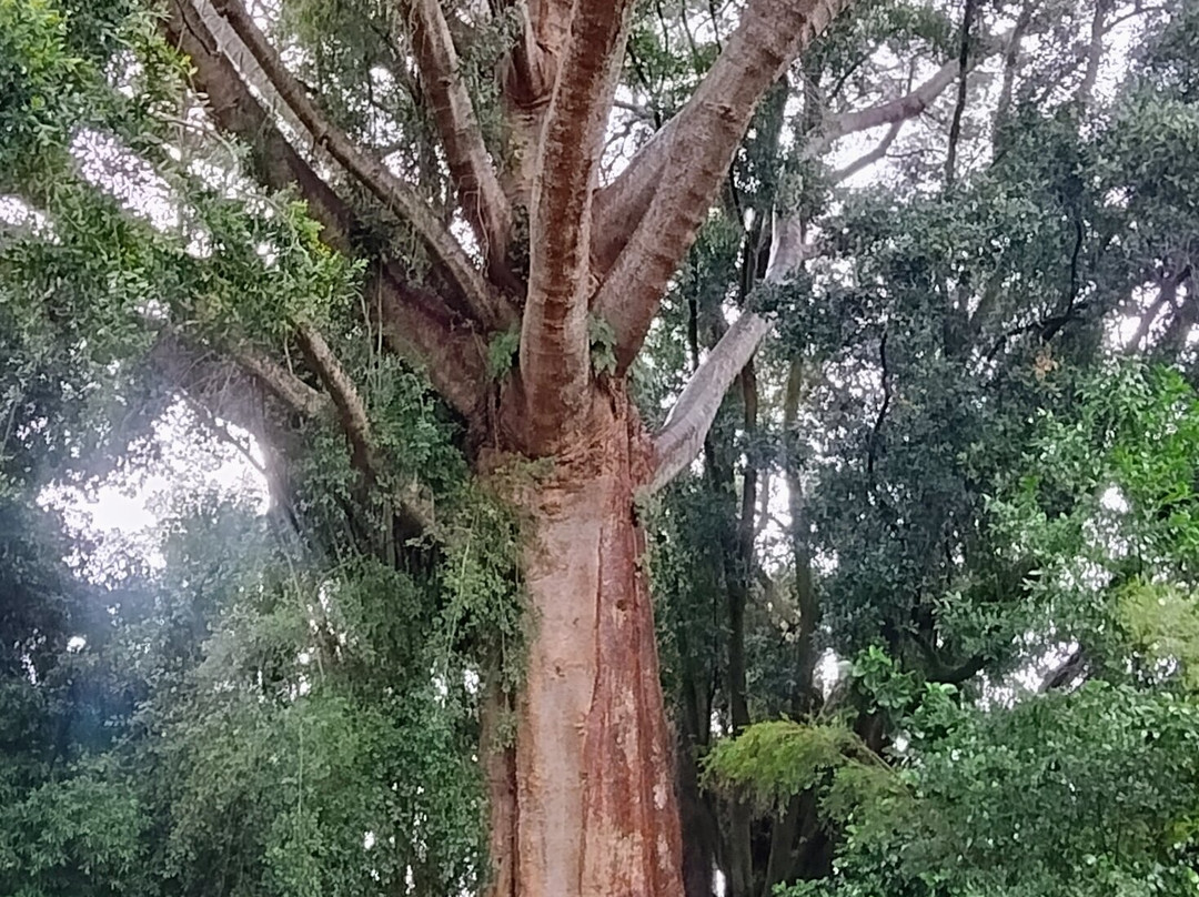 蒙塞拉特宫-辛特拉必去景点