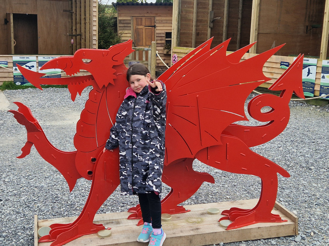 The British Bird of Prey Centre-喀麦登必去景点