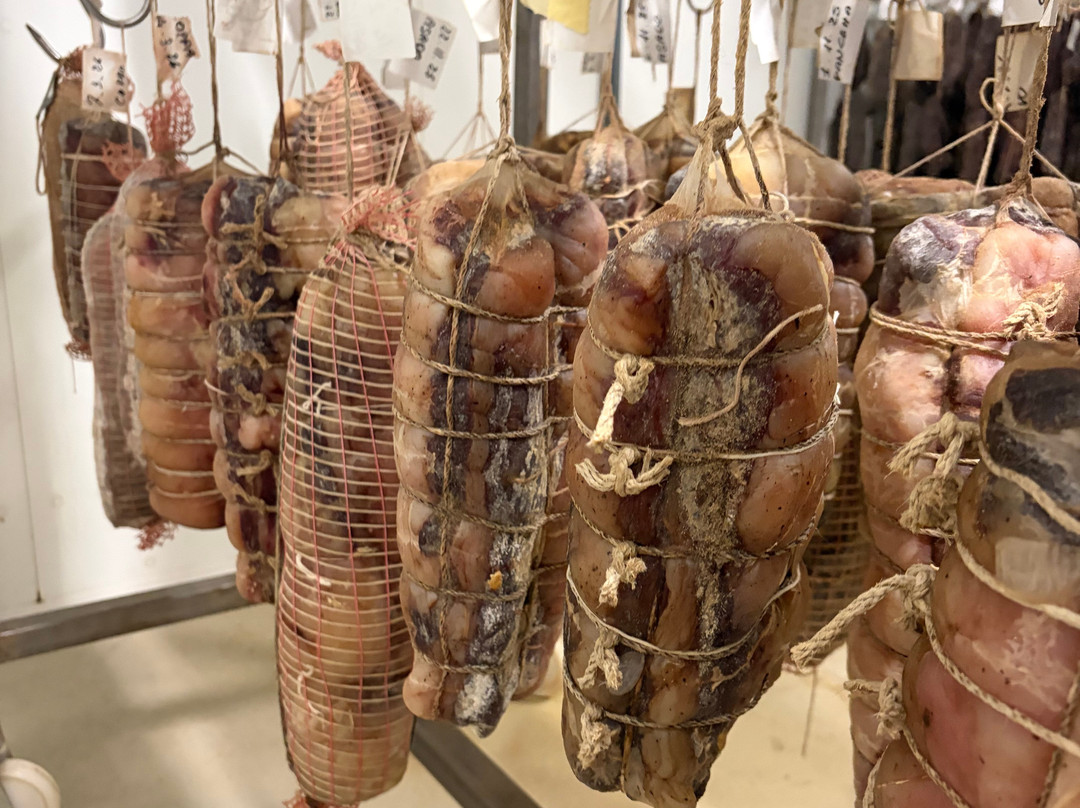 La Cigolina-Castelnuovo Bocca D'Adda必去景点