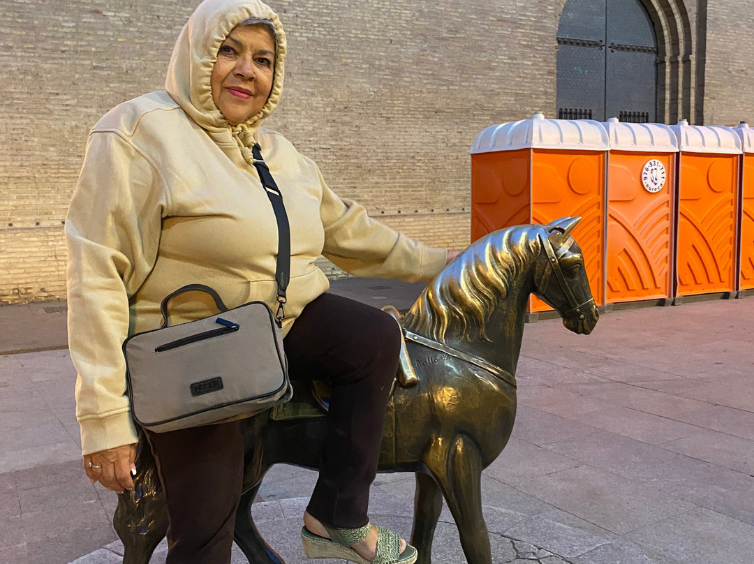 Vive Zaragoza Tours-萨拉戈萨省必去景点