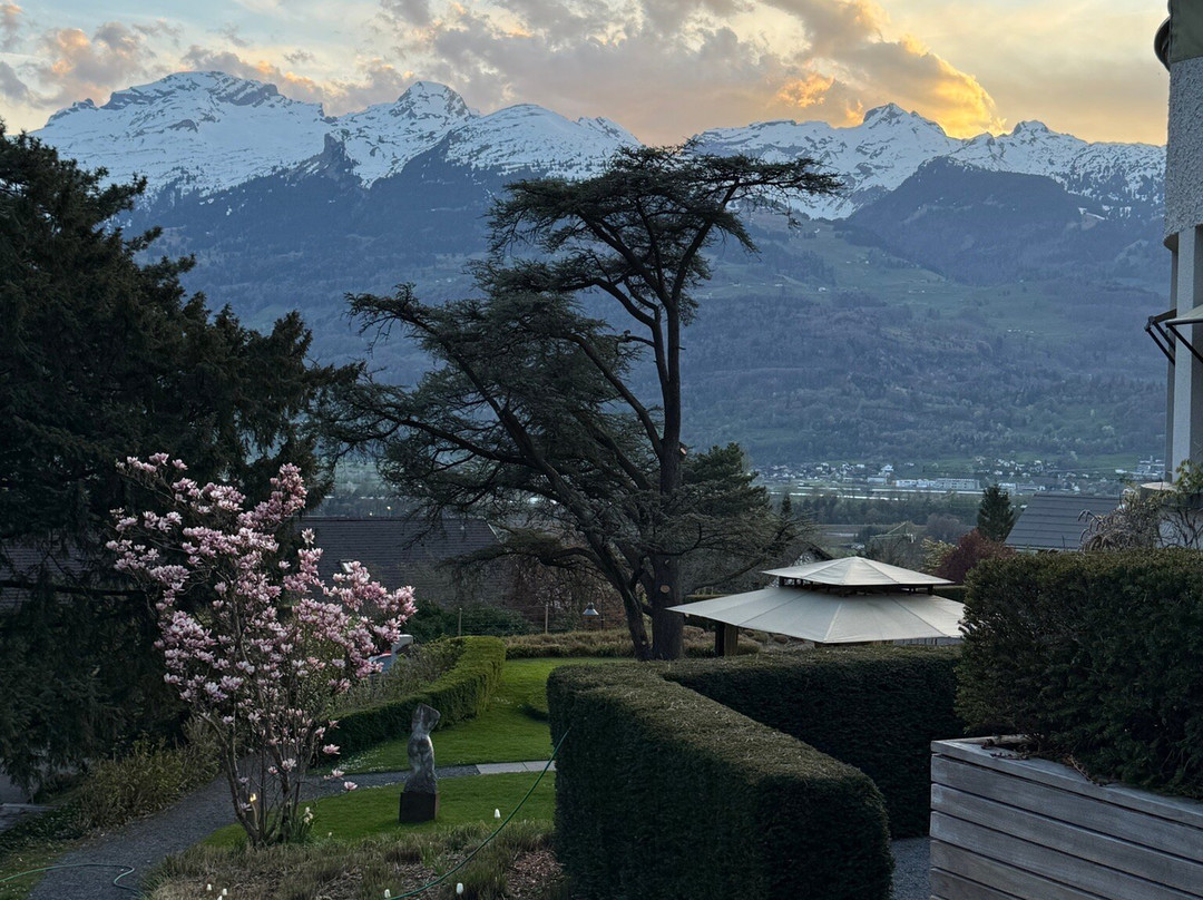 松嫩霍夫公园酒店主图