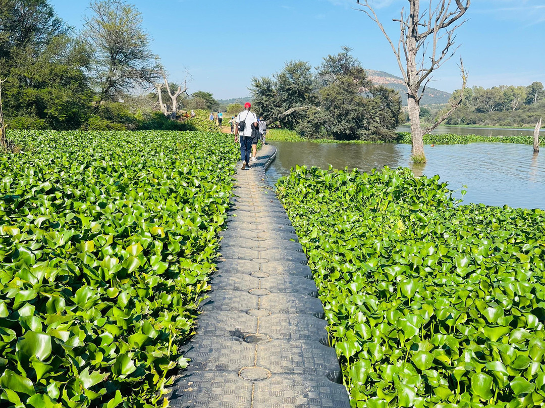 Cradle Moon-Muldersdrift必去景点