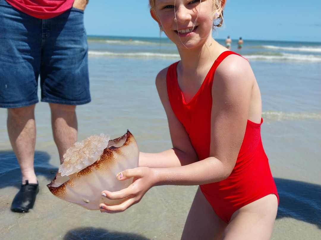 Tybee Island Marine Science Center-泰碧岛必去景点