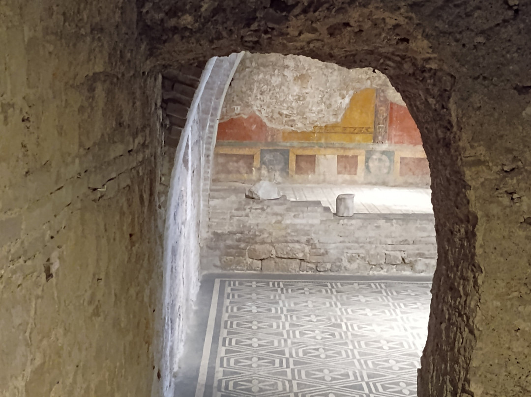 Casa Romana di Vespaia Polla-斯波莱托必去景点