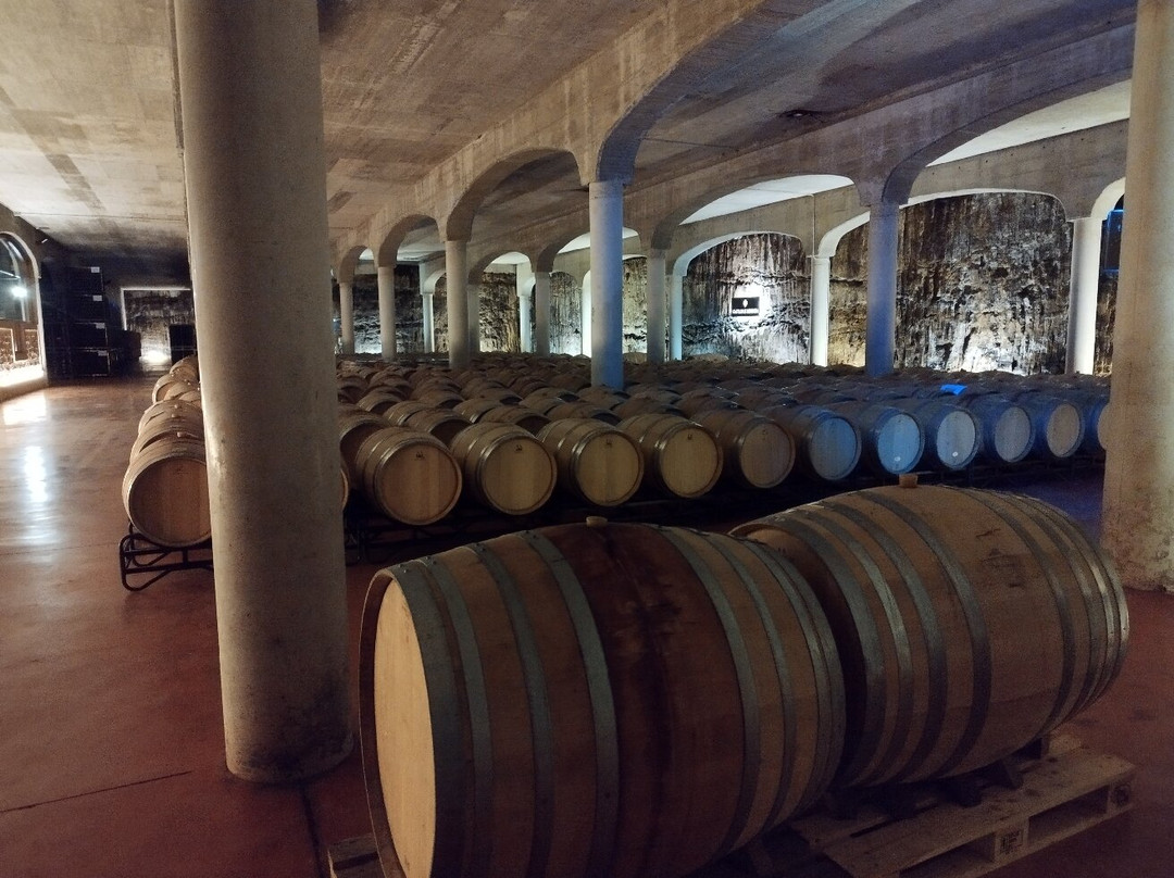 Bodegas Castillo de Mendoza-San Vicente de la Sonsierra必去景点