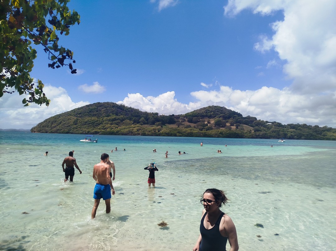 Catamaran Bwa Drese-Le Robert必去景点