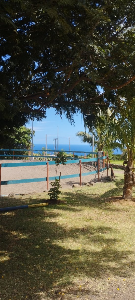 克里奥尔酒店-旅行者