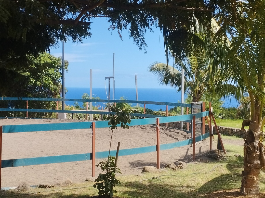 克里奥尔酒店主图