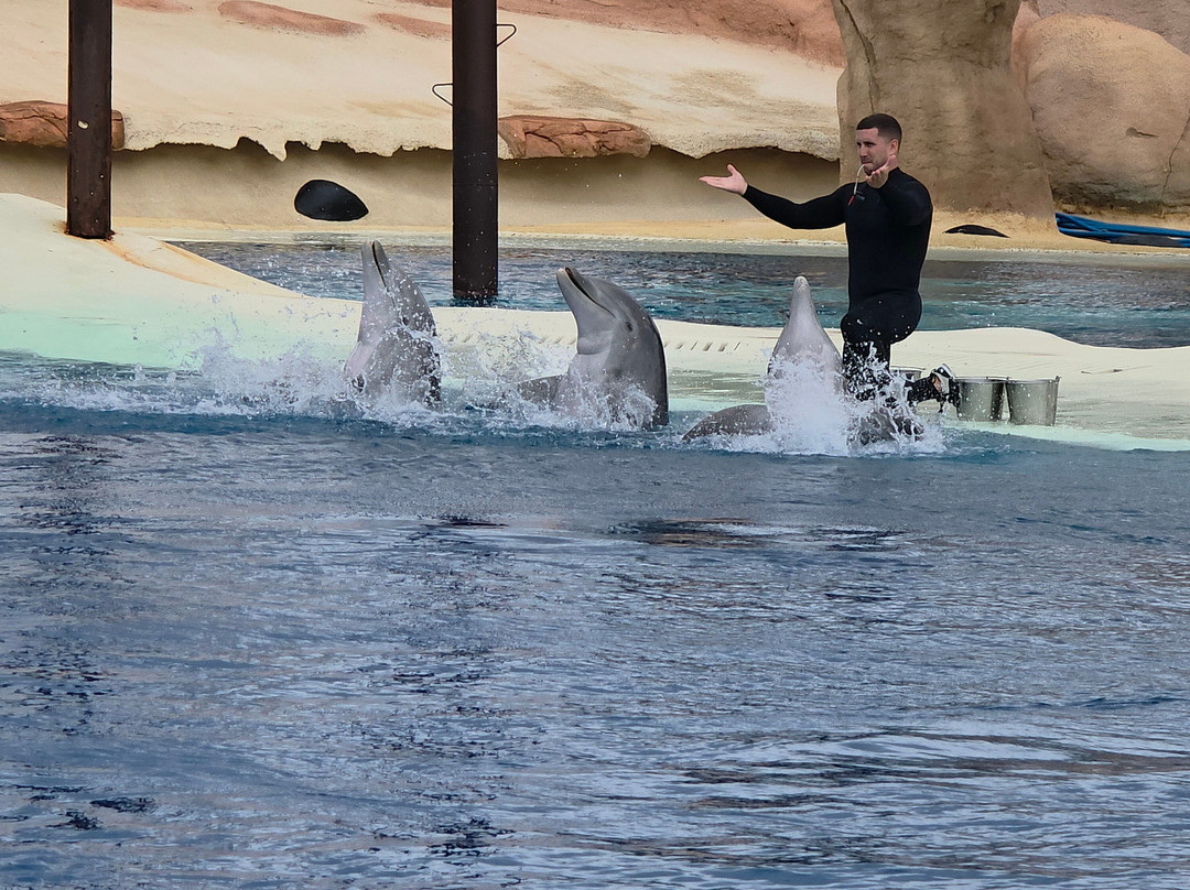 Rancho Texas Lanzarote Park-卡门港必去景点