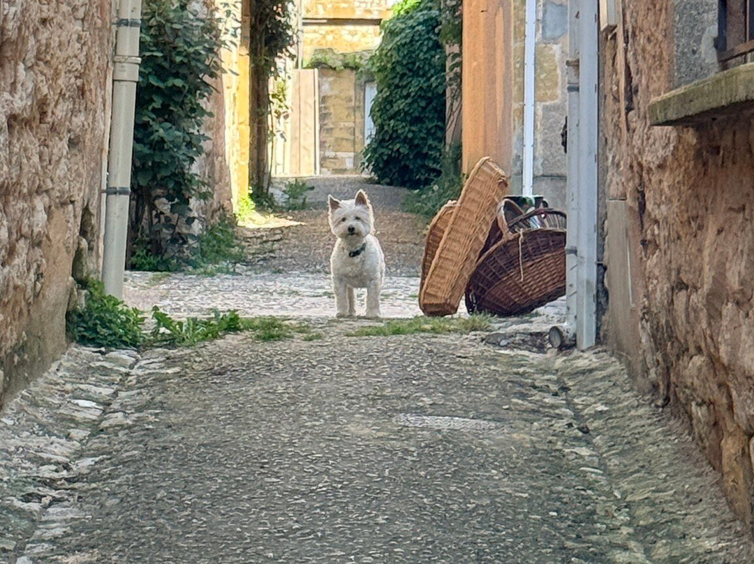 Edward 1er城堡酒店主图