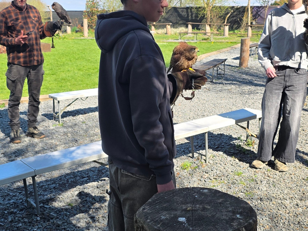 Le Jardin des Hiboux-Bievre必去景点