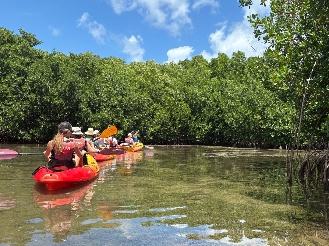 TI-Evasion Kayak de mer en Guadeloupe-Pointe-a-Pitre必去景点