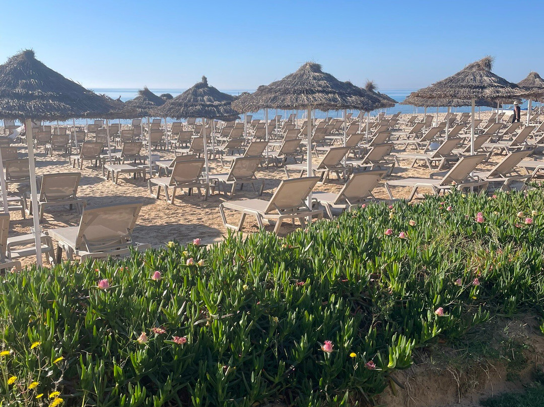 文希诺扎海滩酒店(VINCCI NOZHA BEACH)主图