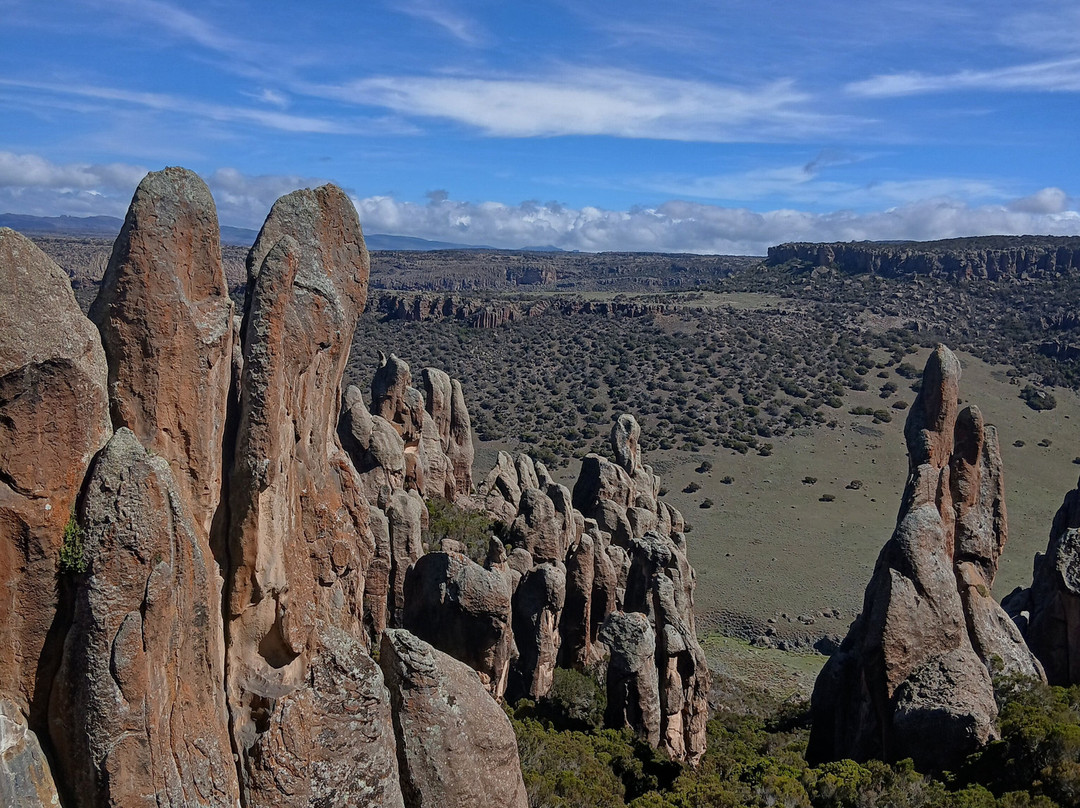 Bale Mountains Trekking Tours Ethiopia-Bale Robe必去景点
