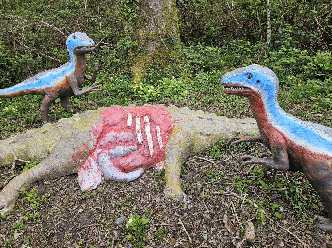 The Dinosaur Park-腾比必去景点