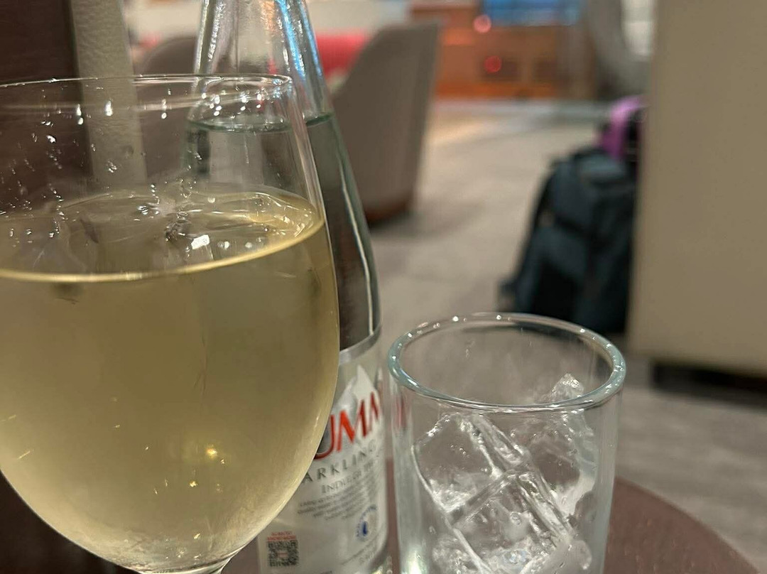 Plaza Premium Lounge (Departures, Terminal 2)-克拉克自由港区必去景点