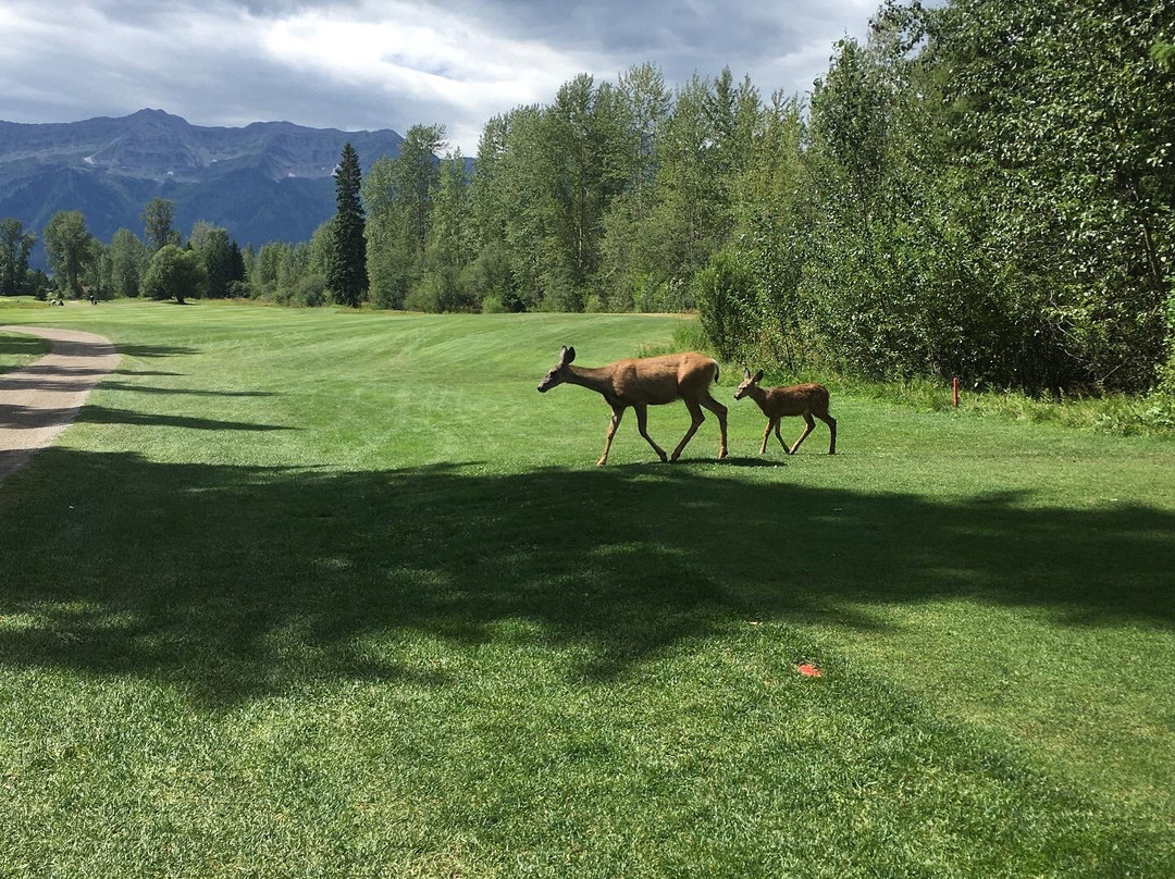 Fernie Golf & Country Club-弗尼必去景点