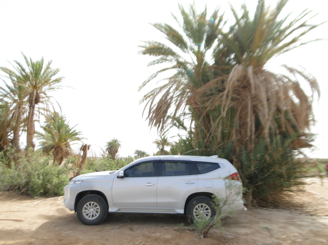 Loud Sahara Day Tours-扎古拉必去景点