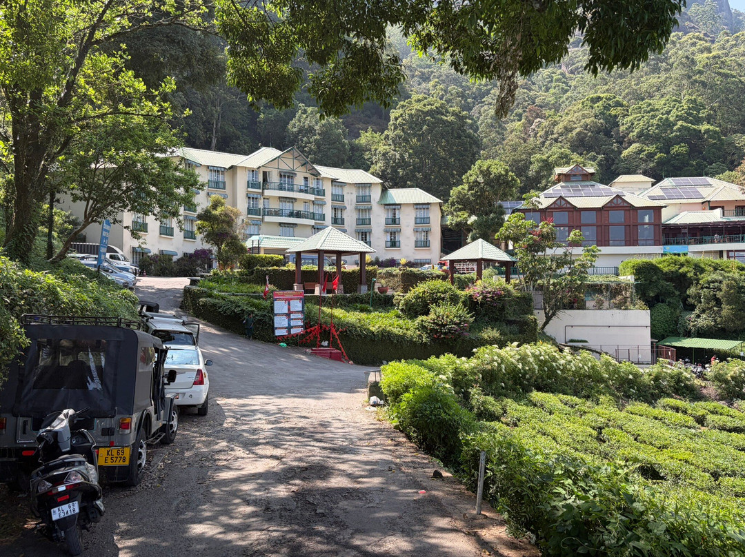 Club Mahindra Mount Serene, Munnar Resort主图