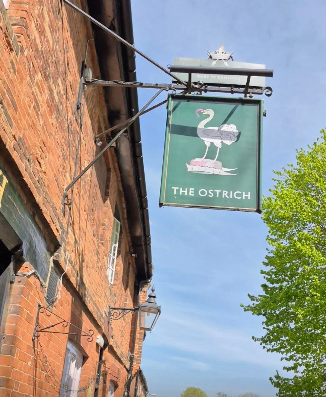 The Ostrich Castle Acre-旅行者