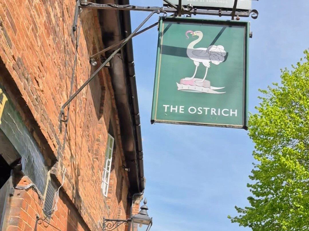 The Ostrich Castle Acre主图