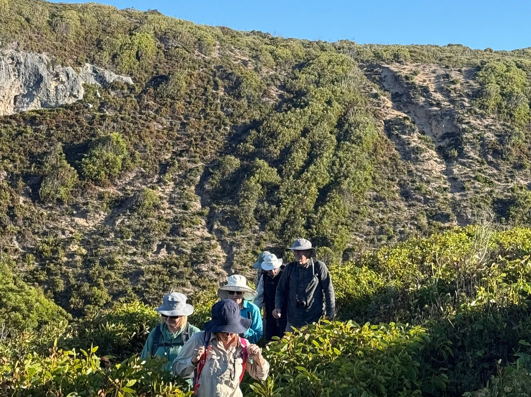 Trek Tours Australia-达尔文市必去景点