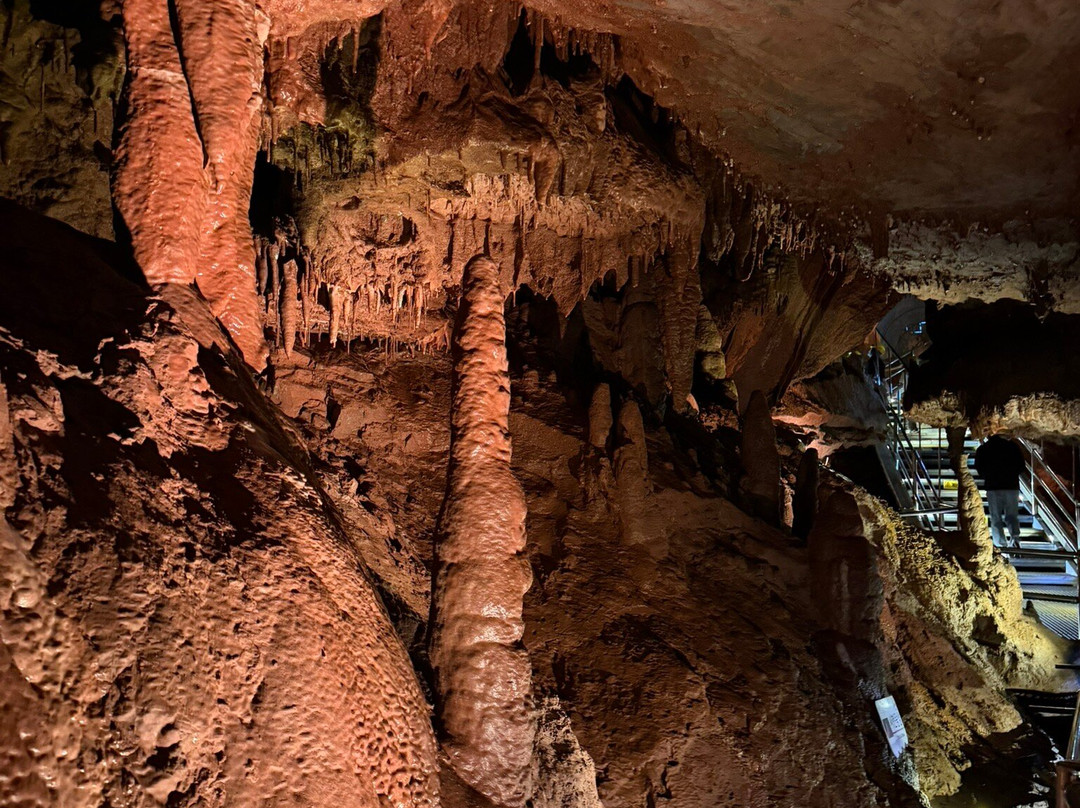 Cheongok Golden Bat Cave-东海市必去景点