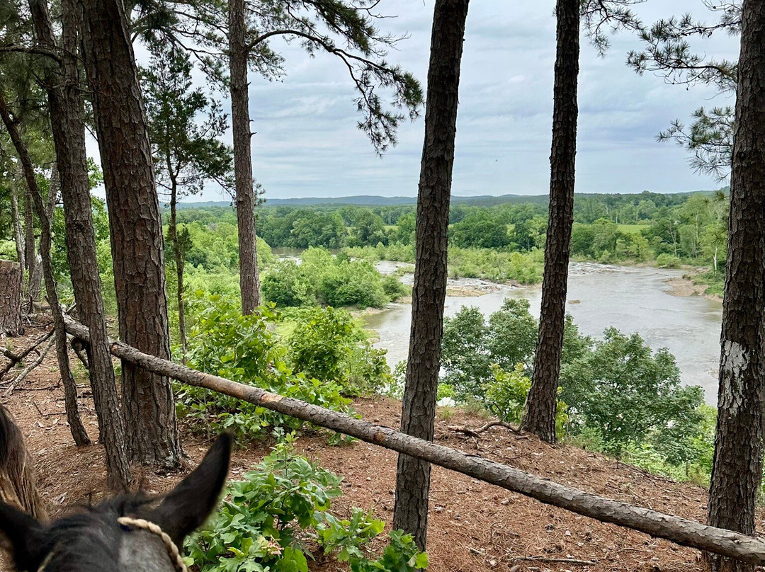 River Man Trail Rides-Broken Bow必去景点