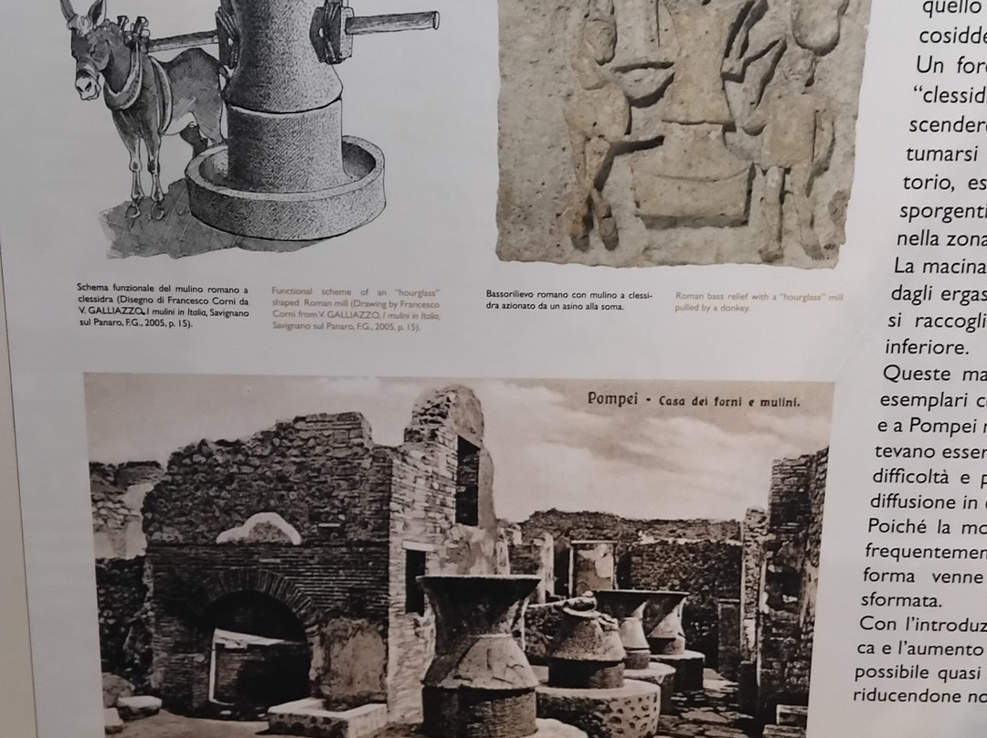 Museo della Pasta-Collecchio必去景点