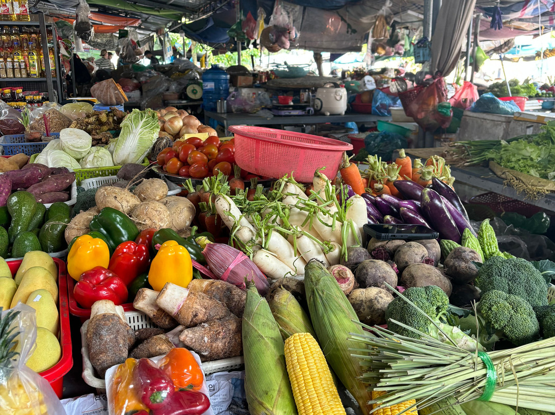 Hoi An Tropical Cooking Tour-会安必去景点