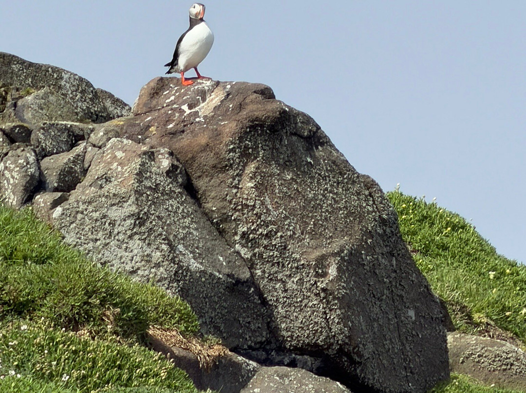 Scottish Seabird Centre-北柏威克必去景点