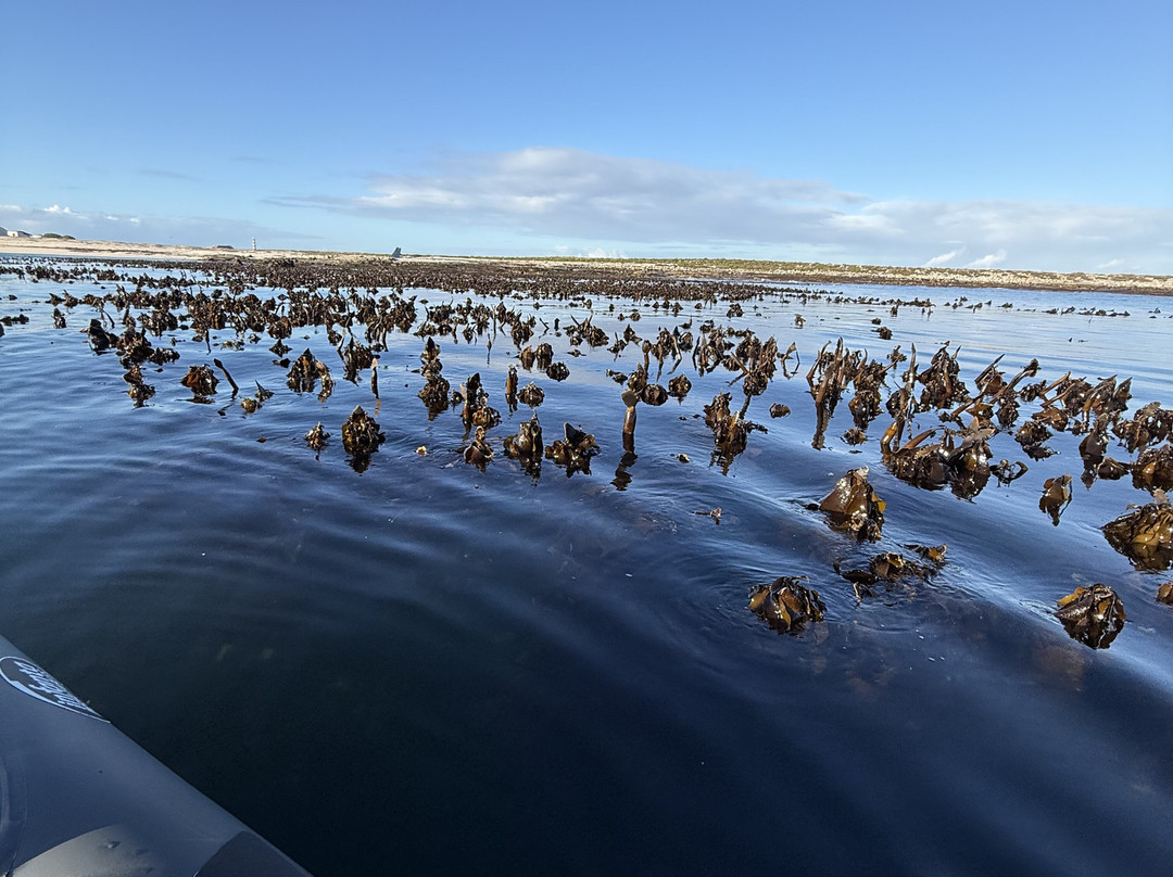 Yzerfontein Sea Sport-Yzerfontein必去景点