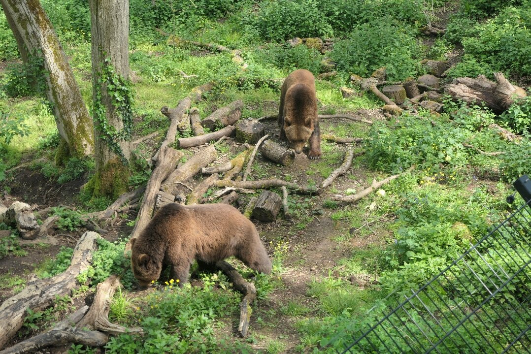 Bristol Zoo Project-Easter Compton必去景点