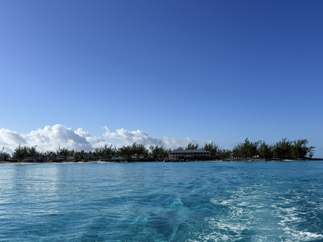 Only Blue Diving Dreams-Cockburn Town必去景点